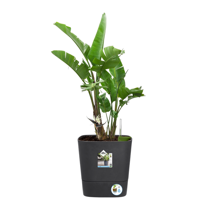 greensense aqua care vierkant 38cm houtskoolgrijs